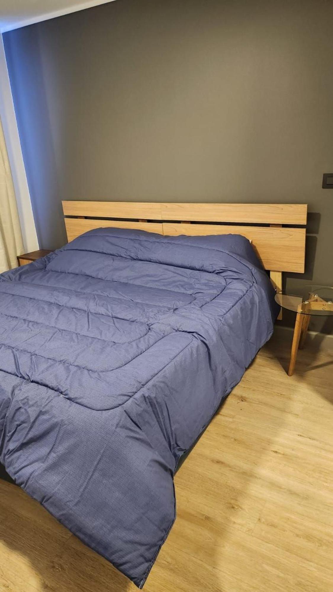 Apartamento Deptos Santa Ana Santiago